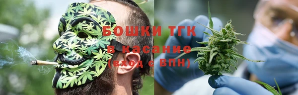 индика Новокубанск