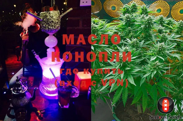 индика Новокубанск