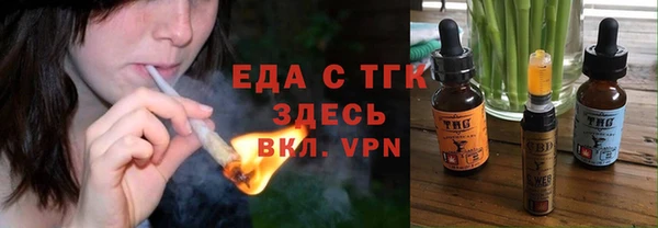 индика Новокубанск