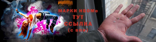индика Новокубанск