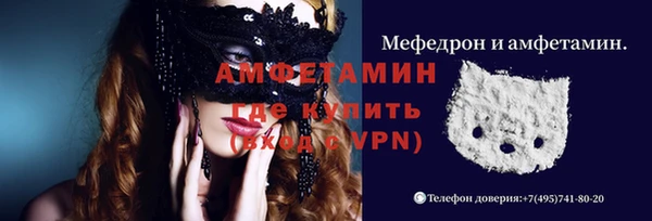 индика Новокубанск