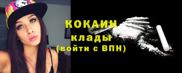 индика Новокубанск