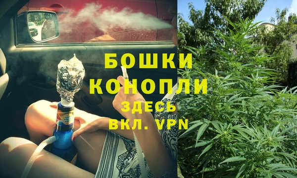 индика Новокубанск