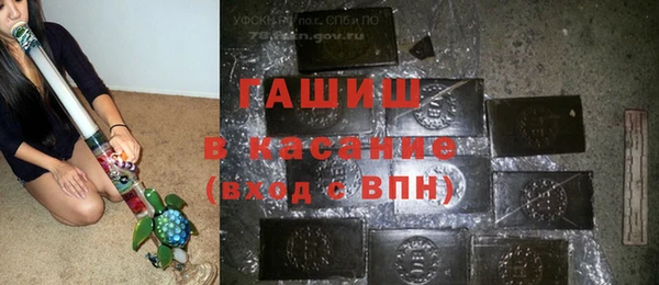 индика Новокубанск