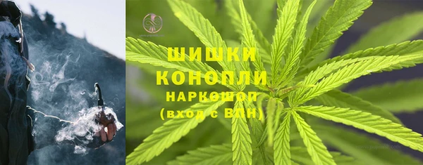индика Новокубанск