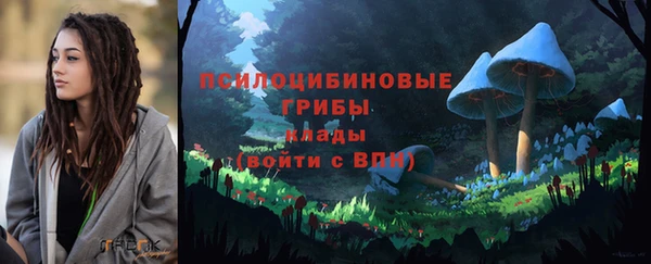индика Новокубанск