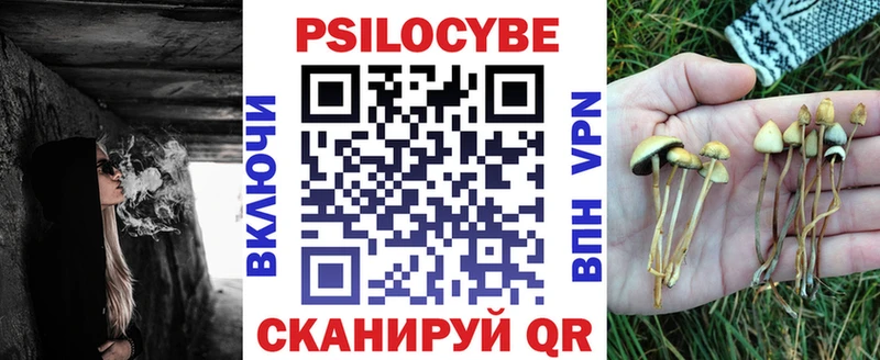 Галлюциногенные грибы Psilocybe  Полярные Зори 